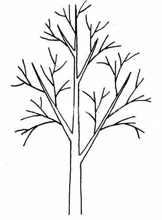 Картинка ствол дерева для детей (23)
