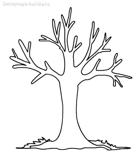 Картинка ствол дерева для детей (6)