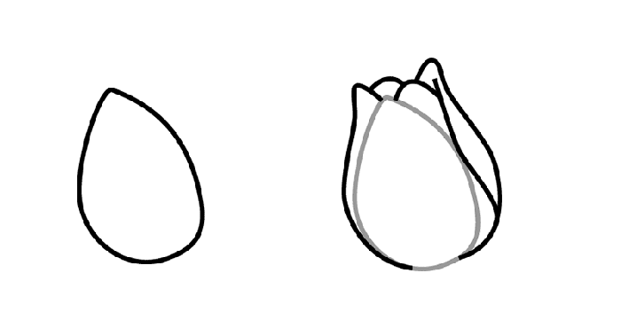Як намалювати тюльпани Схема 1
