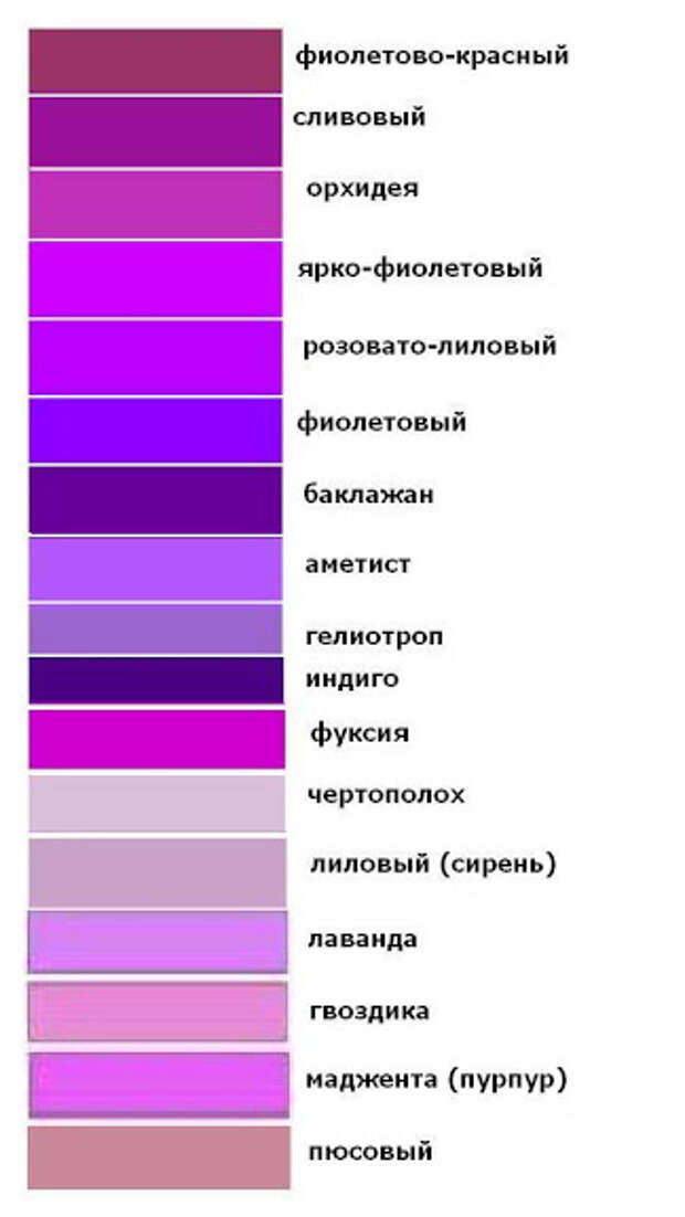 Холодный фиолетовый: Теплый и холодный фиолетовый цвет