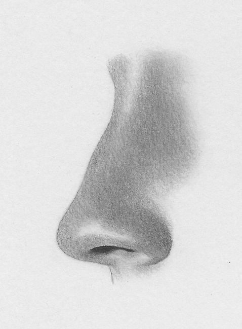 how to draw the nose profile 9
