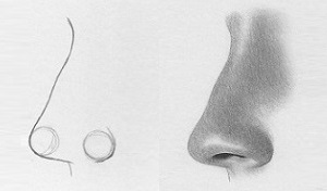 how-to-draw-the-nose-profile-thumbnail6