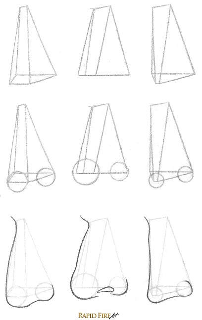how to draw uniquely shaped noses in 3/4 view