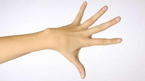 Анатомия связки руки. Кости кисти руки