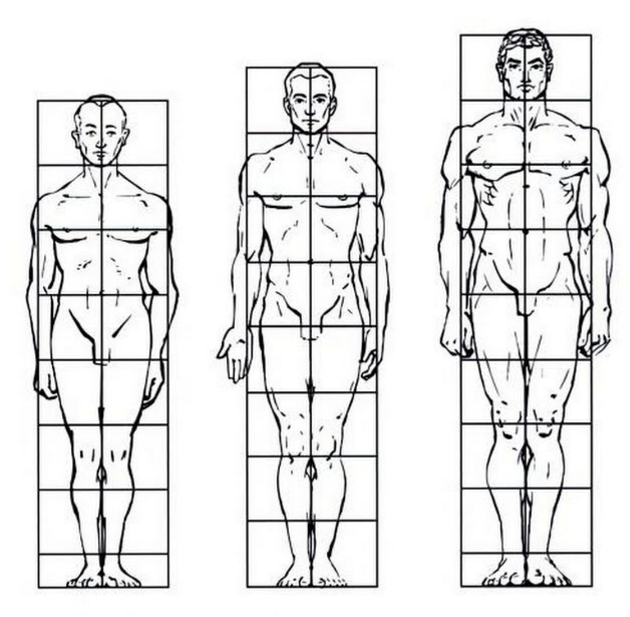 Тип рисования человека. Пропорции тела высокого человека. Пропорции тела человека рисунок. Пропорции человека в полный рост в головах. Пропорции тела человека в полный рост.