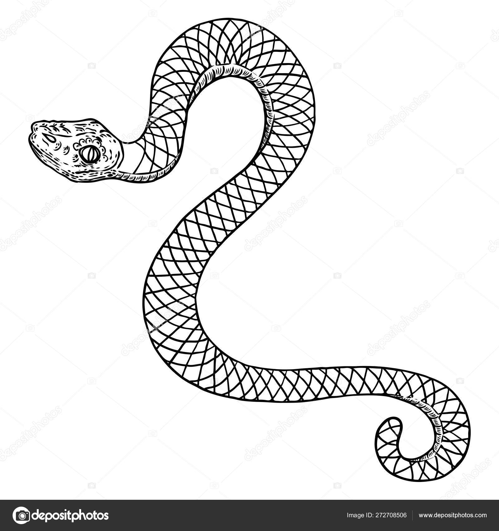 Лайны змей