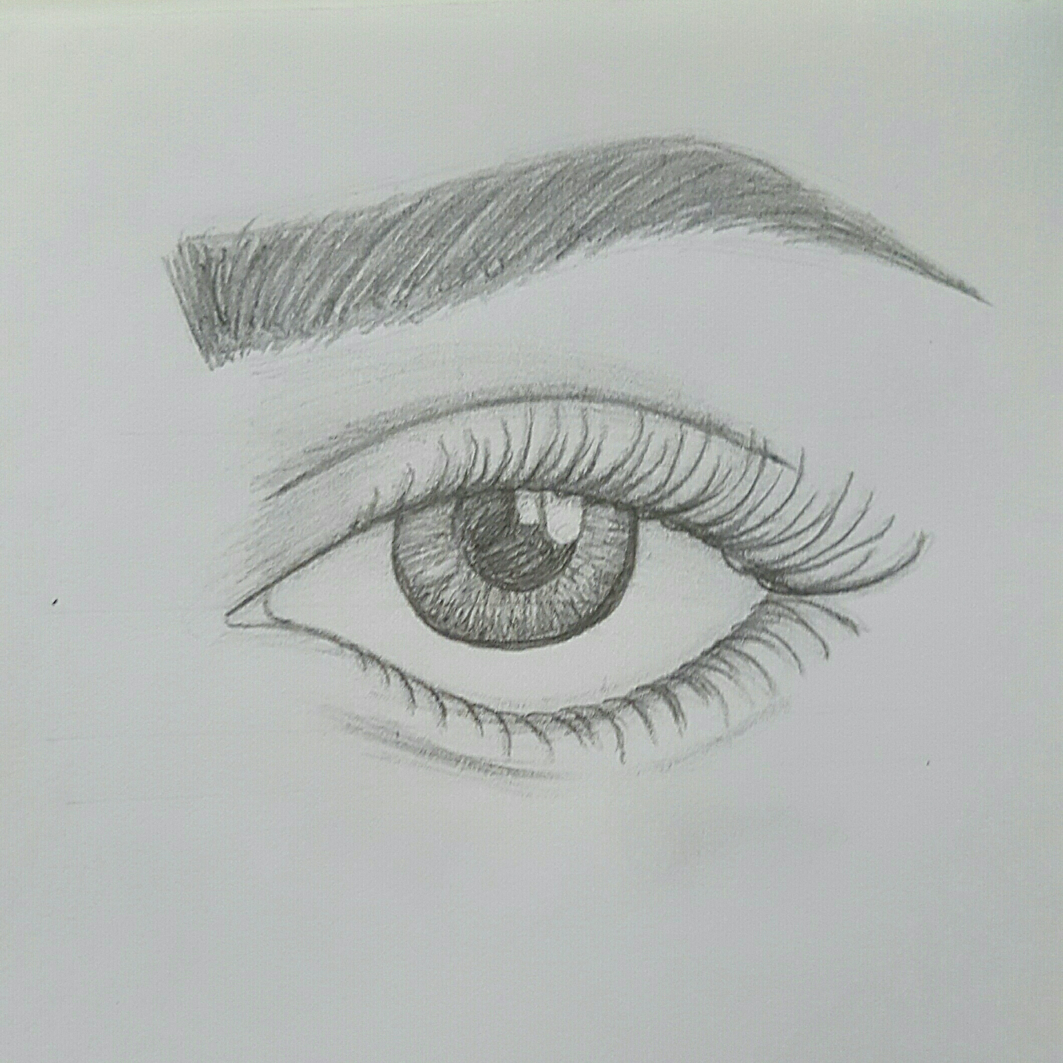 Как нарисовать глаз поэтапно карандашом для начинающих