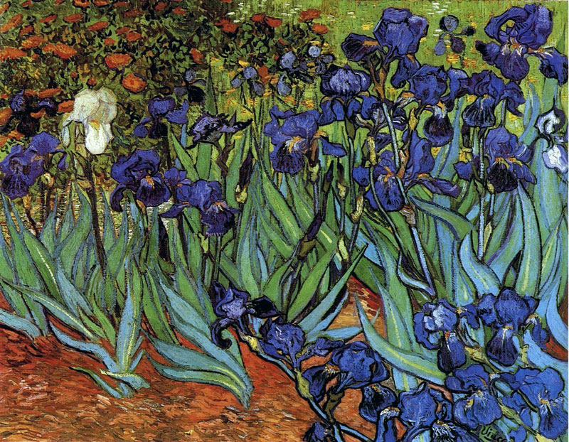 Van Gogh Irises