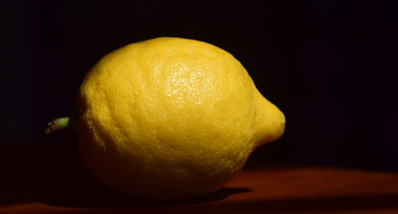 Lemon Reference Photo