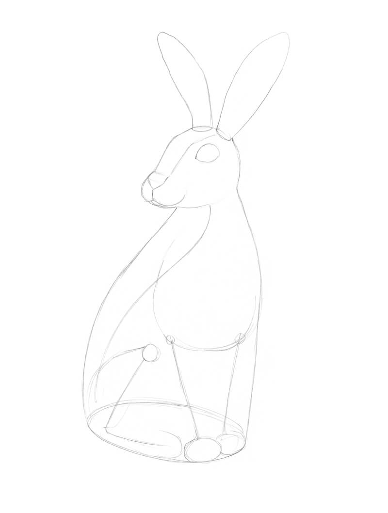 Refining the pencil sketch of the rabbit