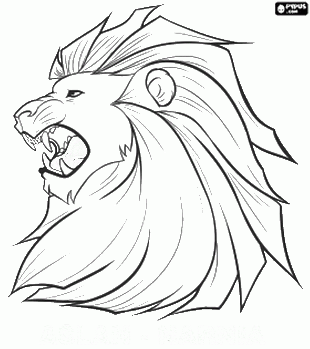 Голова Льва рисунок карандашом