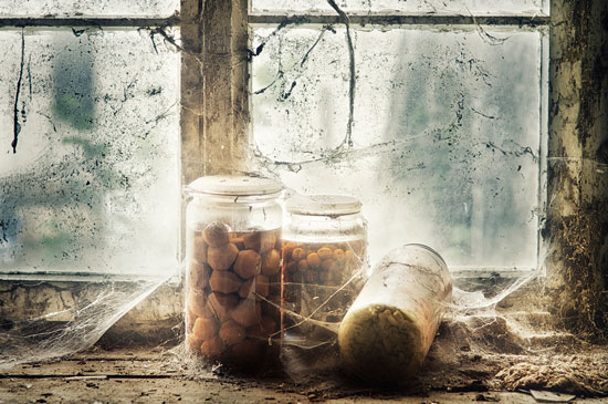 Made-for-eternity Fantastic Still Life Photography Ideas To Inspire You