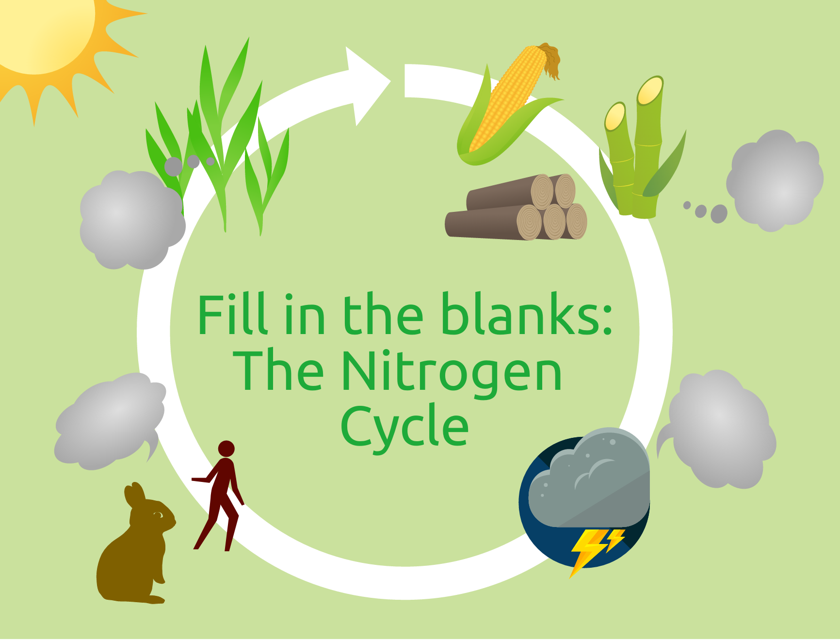 nitrogen cycle infographic easelly