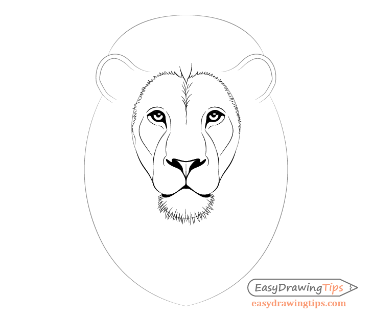 Lion inner mane and chin fur drawing