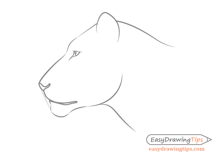 Lion face side view outline drawing
