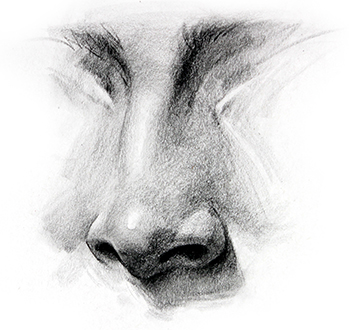 draw nose