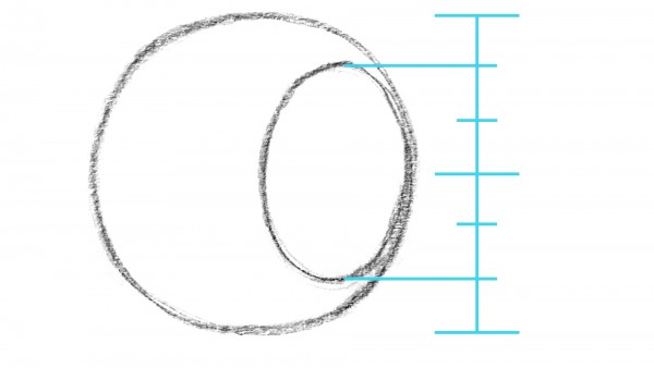 angle of the head circle measurements