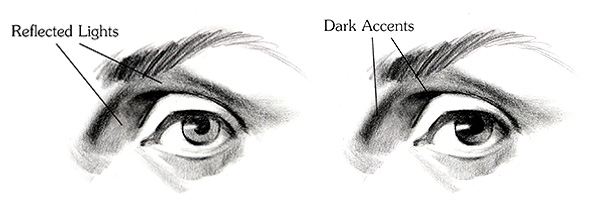 Drawing the Eyes with Full Values and Dark Accents