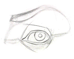 Drawing Layin of the Eyes