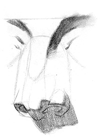 two values for drawing the nose