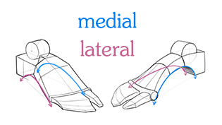 medial and lateral sides of foot