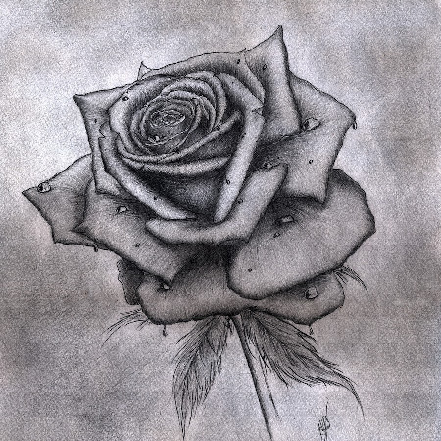 Ð Ð¸Ñ�ÑƒÐ½Ð¾Ðº Ñ�ÐµÑ€Ð´Ñ†Ð° Ð¸ Ñ€Ð¾Ð·Ñ‹ ÐºÐ°Ñ€Ð°Ð½Ð´Ð°ÑˆÐ¾Ð¼ - Easy Pencil Drawings Of Hearts And R...